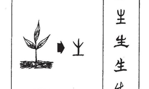 力多泰功效与作用-力多欣是治疗什么病的专区_力多泰注射剂是什么药专区_力多邦胶囊网