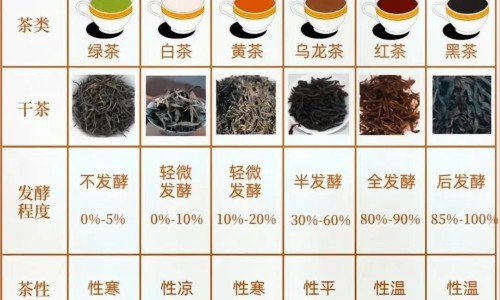 力多泰是治疗什么病的-力多欣是治疗什么病的专区_力多泰注射剂是什么药专区_力多邦胶囊网